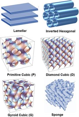 Plasmalogen-Based Liquid Crystalline Multiphase Structures Involving Docosapentaenoyl Derivatives Inspired by Biological Cubic Membranes